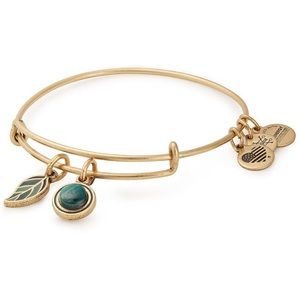 Alex & Ani Grounded duo charm bangle